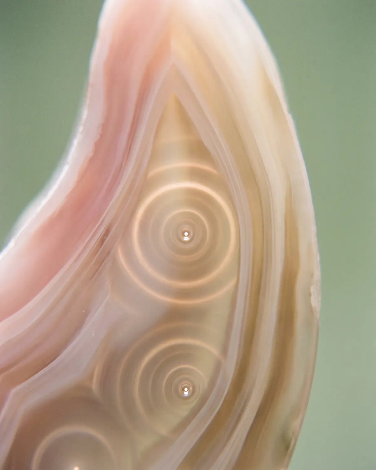 Capas translúcidas en tonos piel con anillos de luz que convergen en puntos precisos.